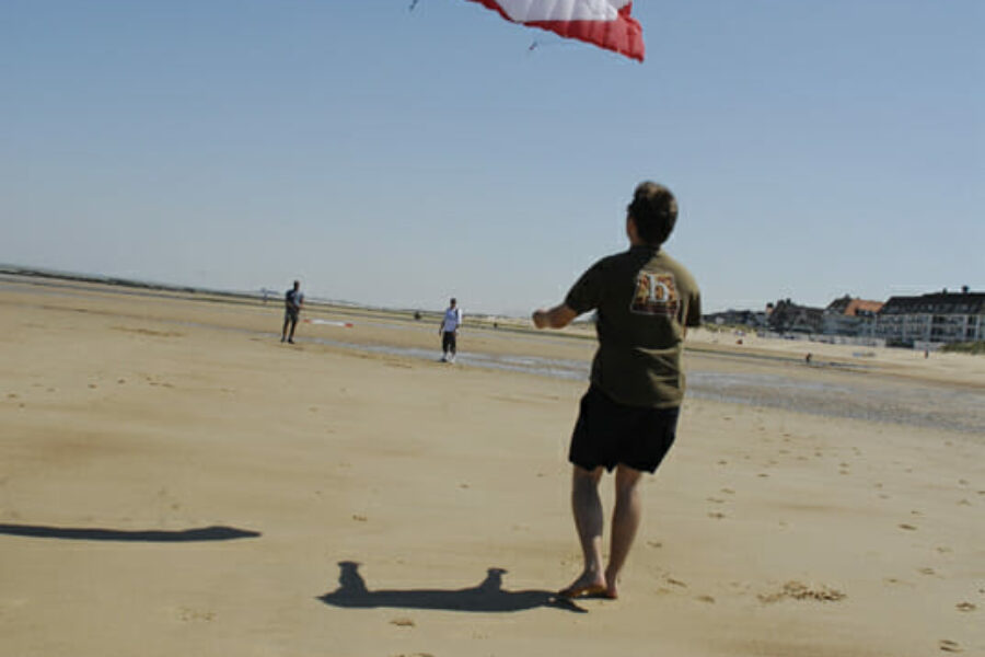 Beach Kite